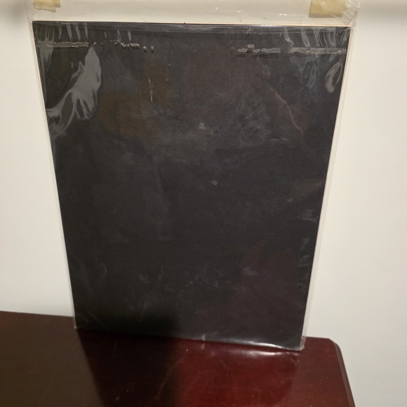 2004 Dallas Cowboys Team Photo Collage (Officially Licensed NFL Collectible) - Picture 2 of 7